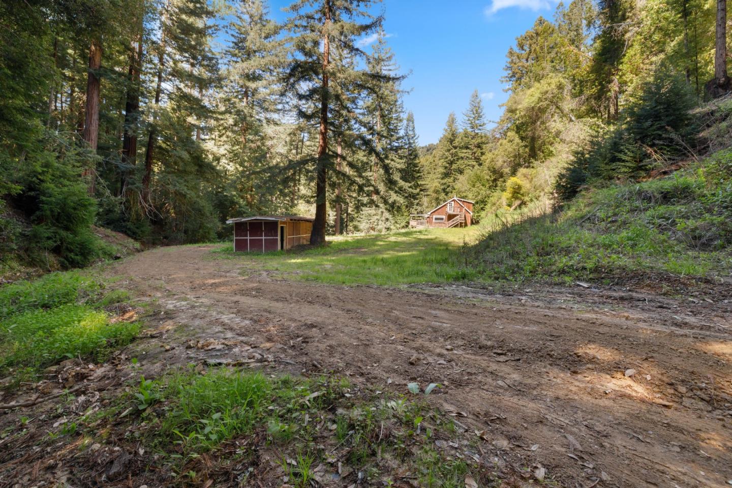 2950 Bear Canyon Road Los Gatos, CA 95033 - Photo 57 of 100 a view of a backyard with large trees