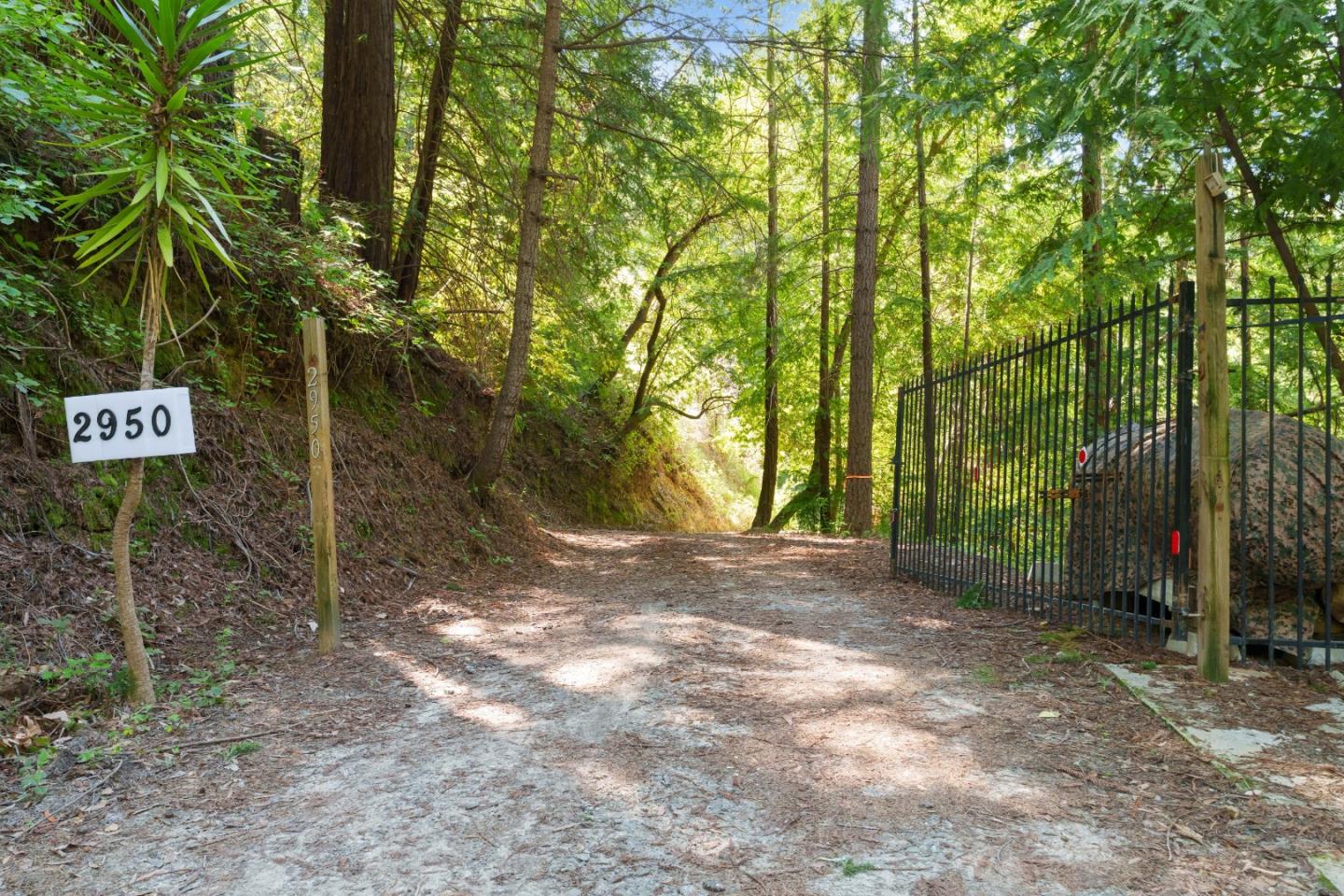 2950 Bear Canyon Road Los Gatos, CA 95033 - Photo 63 of 100 a view of outdoor space and tree