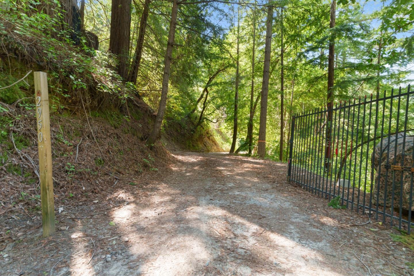 2950 Bear Canyon Road Los Gatos, CA 95033 - Photo 64 of 100 a view of a yard with plants and trees