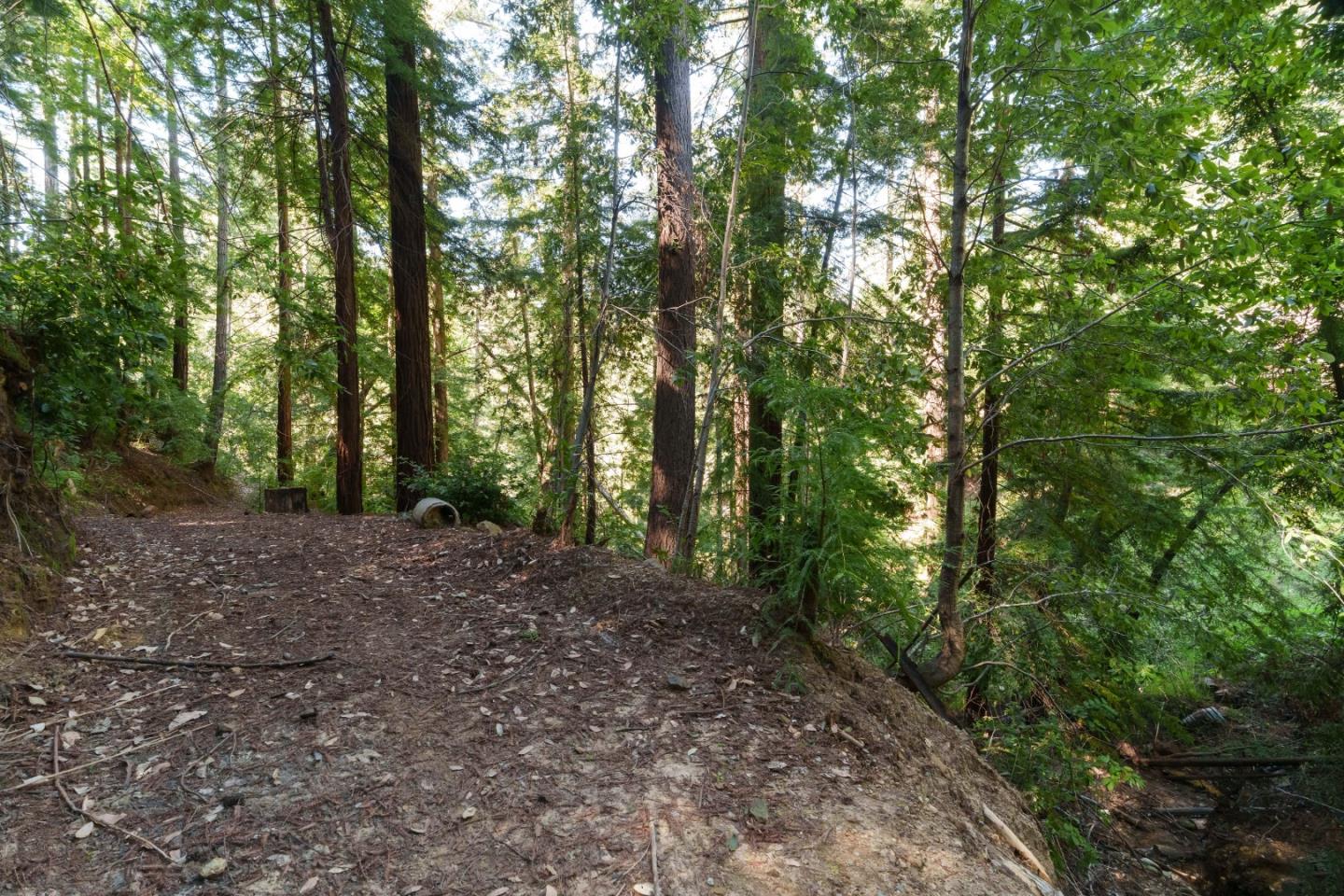 2950 Bear Canyon Road Los Gatos, CA 95033 - Photo 78 of 100 a view of a forest with trees in the background