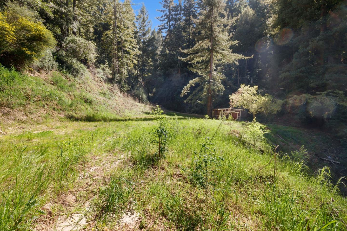 2950 Bear Canyon Road Los Gatos, CA 95033 - Photo 87 of 100 a view of lake from yard