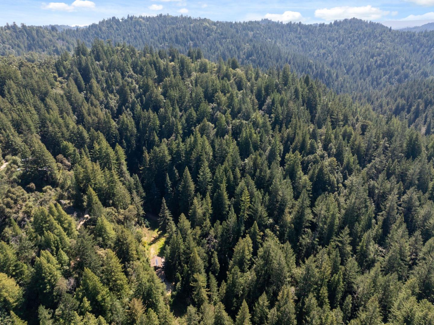 2950 Bear Canyon Road Los Gatos, CA 95033 - Photo 92 of 100 a view of a lush green forest with lush green forest