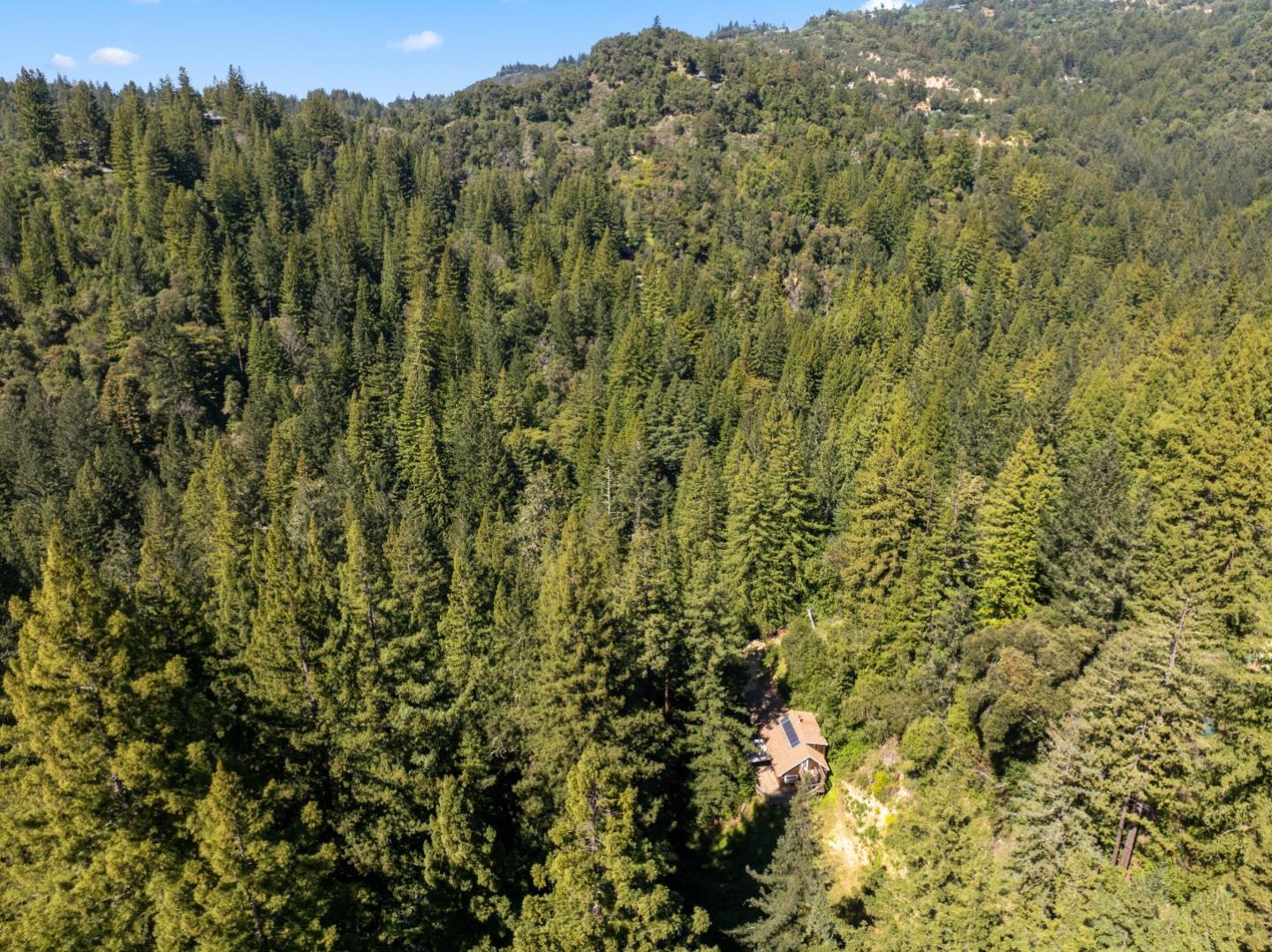 2950 Bear Canyon Road Los Gatos, CA 95033 - Photo 93 of 100 a view of a forest with a street