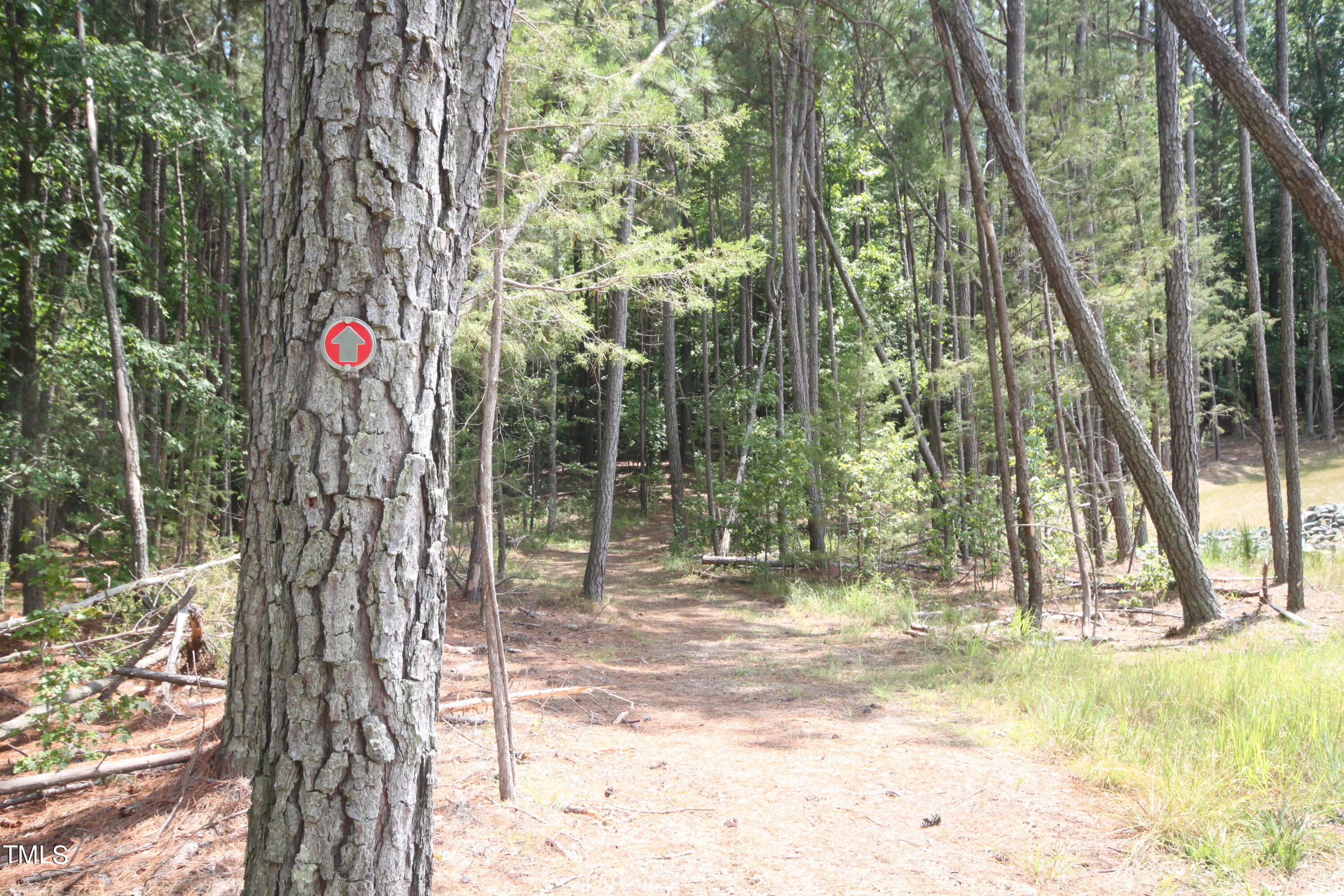Lot 5 Array Drive Hillsborough, NC 27278 - Photo 10 of 12 a view of outdoor space with trees