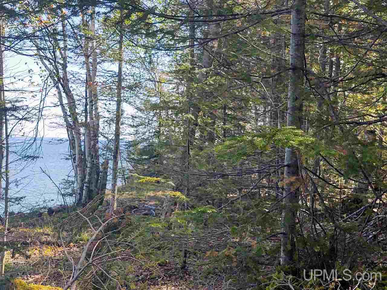 Tbd-parcel Point Abbaye Road Lanse, MI 49946 - Photo 31 of 39