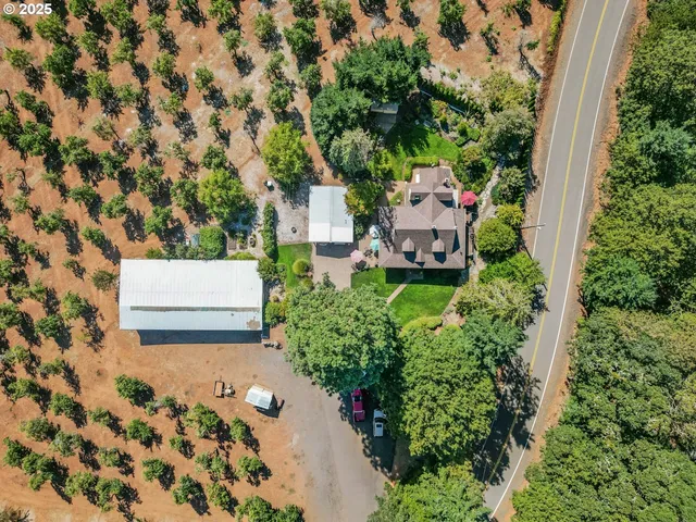 view of yard with an outdoor seating