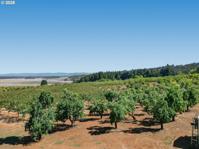 a view of a lake with a yard