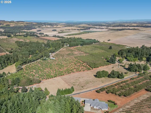 a view of an ocean and beach