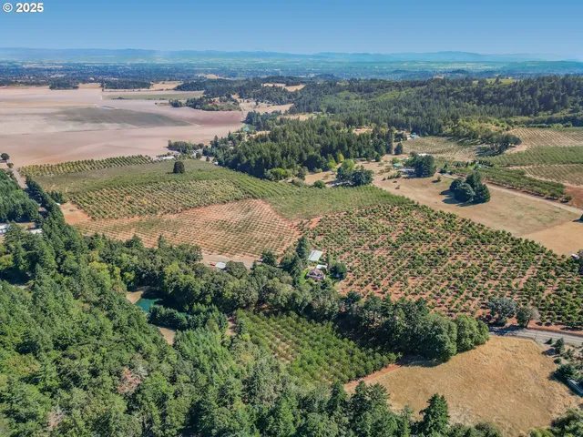 a view of a city with ocean view