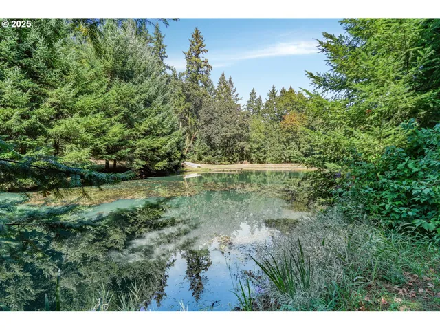a view of outdoor space and yard