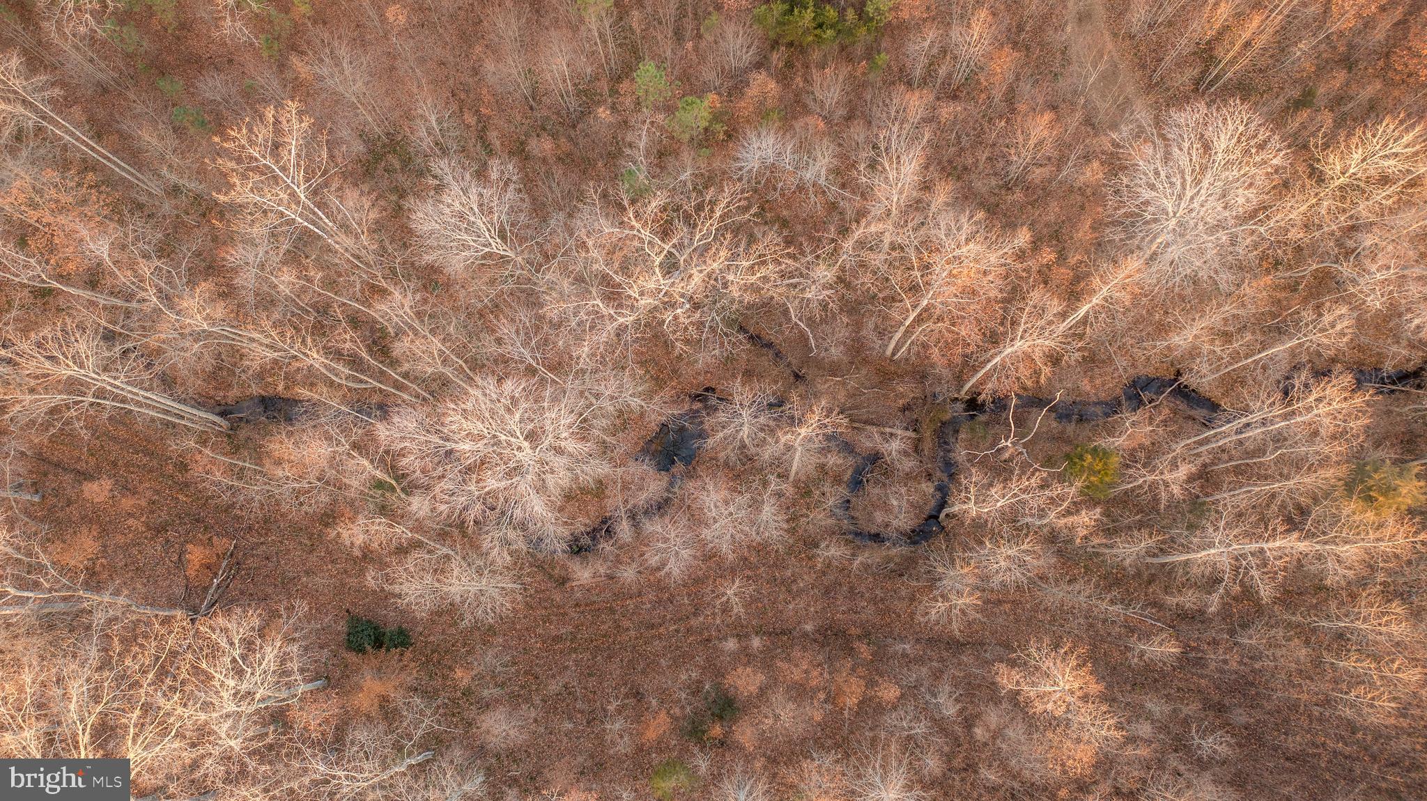 0 Grandview Lane Buckingham, VA 23921 - Photo 11 of 51 a close up of a white wall