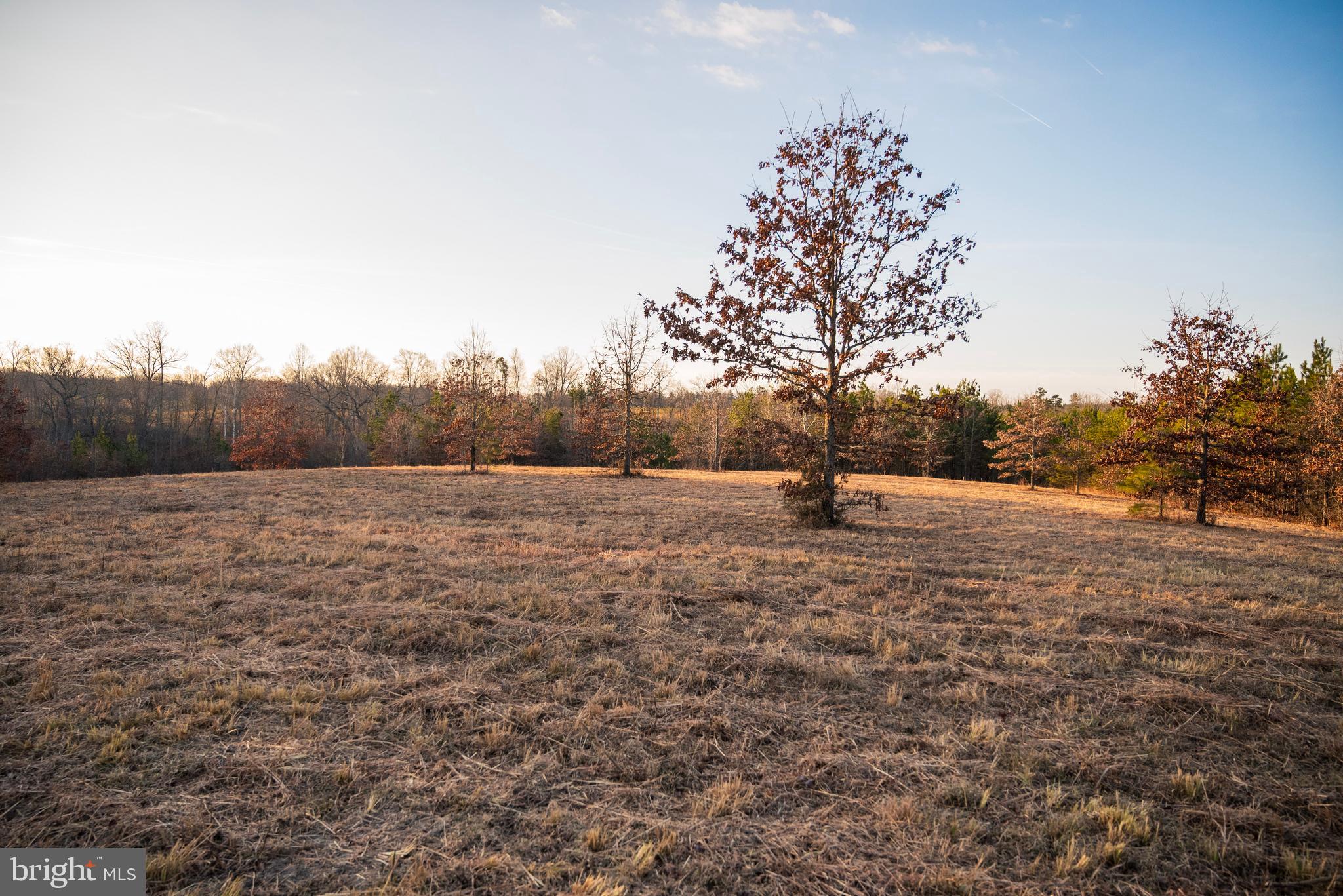 0 Grandview Lane Buckingham, VA 23921 - Photo 19 of 51 a view of outdoor space and trees