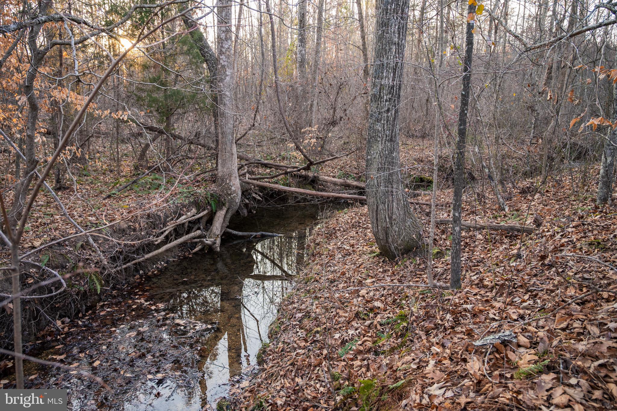 0 Grandview Lane Buckingham, VA 23921 - Photo 26 of 51 a view of a bench in a backyard