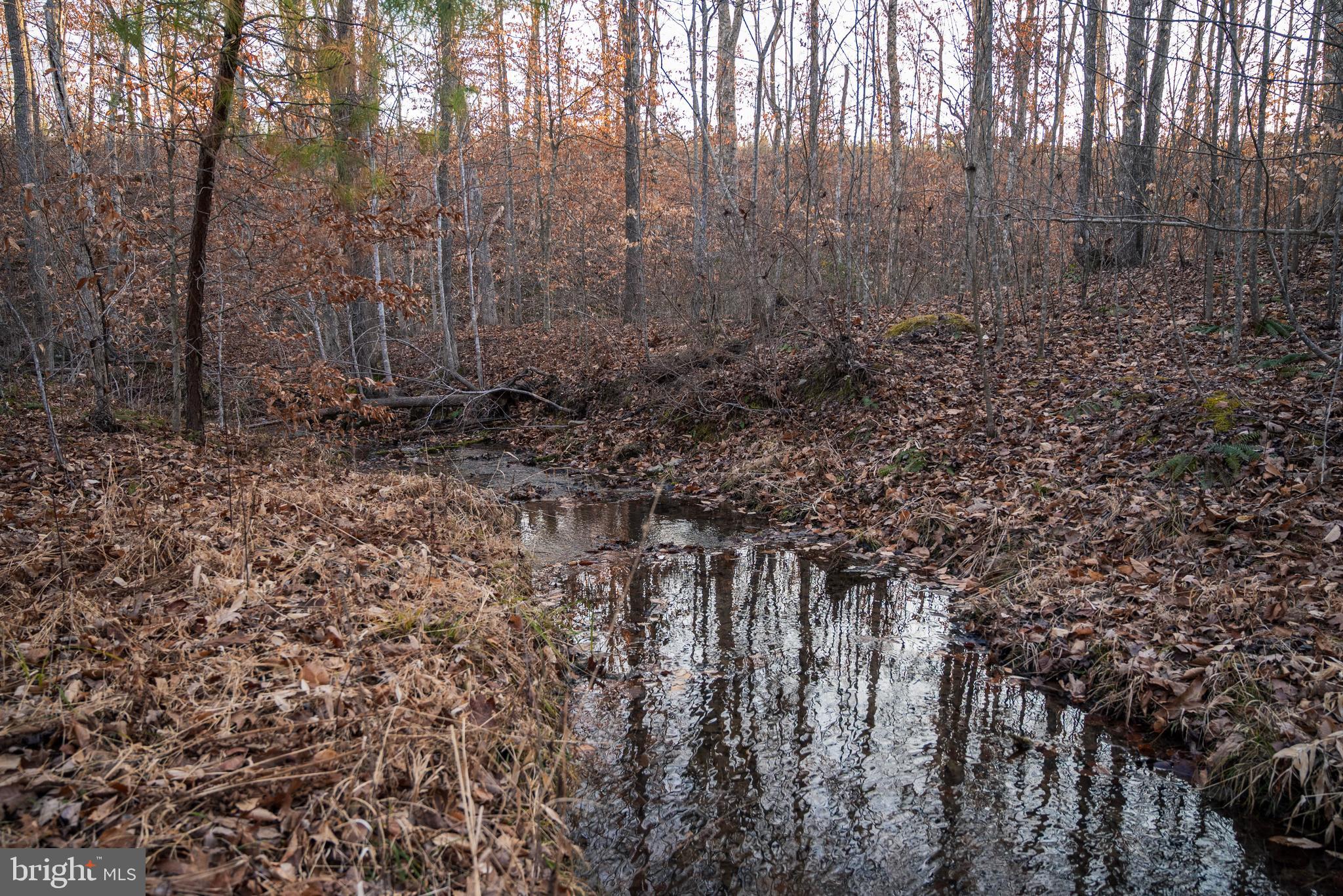 0 Grandview Lane Buckingham, VA 23921 - Photo 27 of 51 a view of a yard with trees in the background