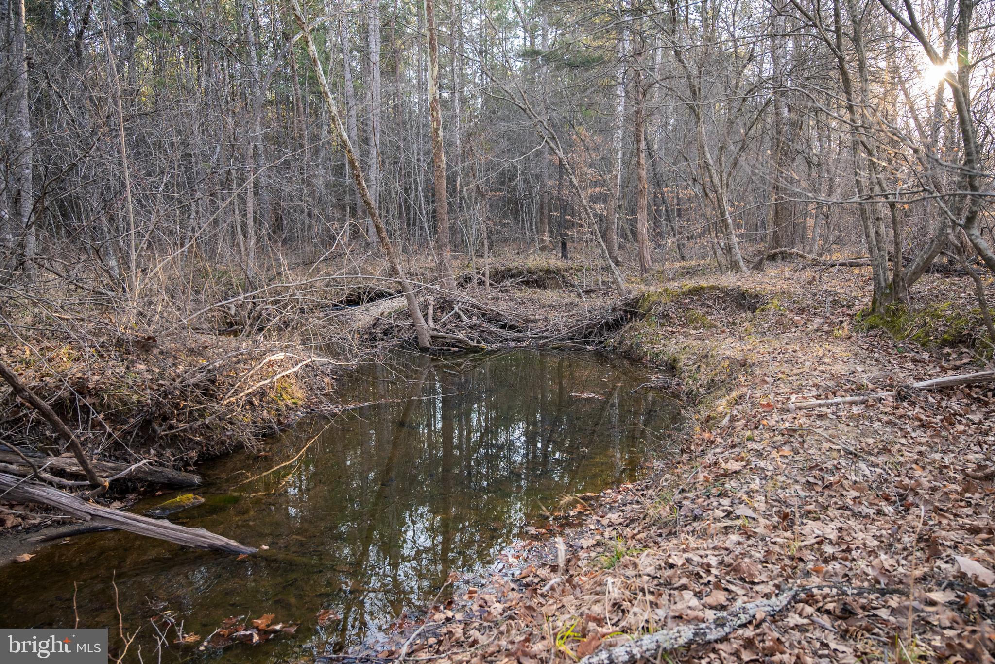 0 Grandview Lane Buckingham, VA 23921 - Photo 30 of 51