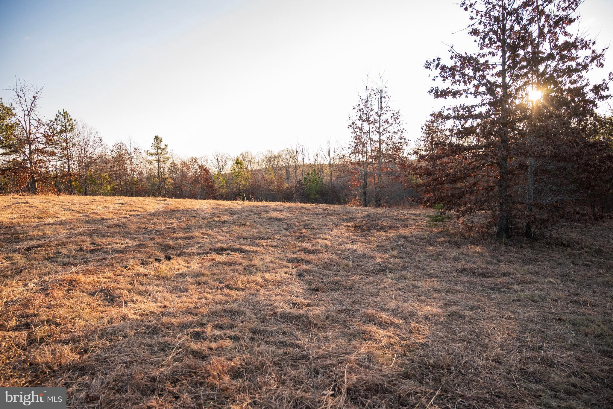 0 Grandview Lane Buckingham, VA 23921 - Photo 32 of 51 a view of outdoor space and yard