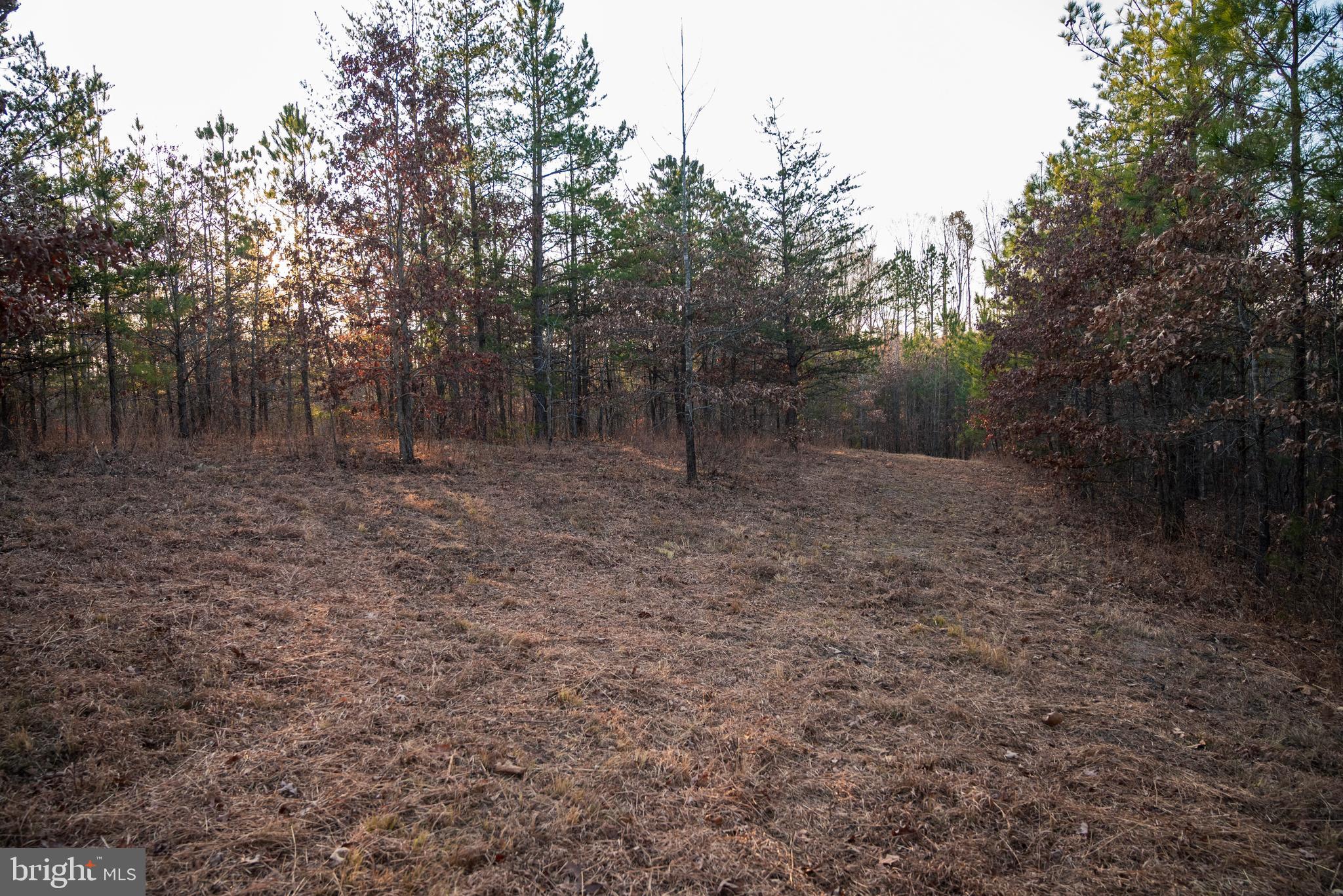 0 Grandview Lane Buckingham, VA 23921 - Photo 34 of 51 a view of empty room with green space