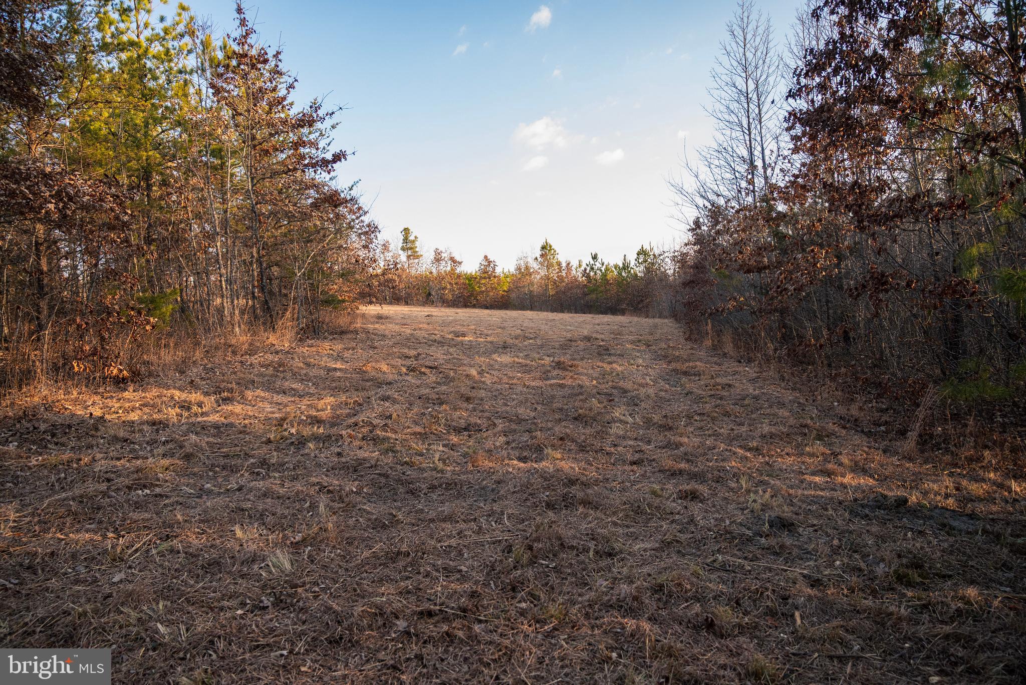0 Grandview Lane Buckingham, VA 23921 - Photo 35 of 51 a view of outdoor space and yard