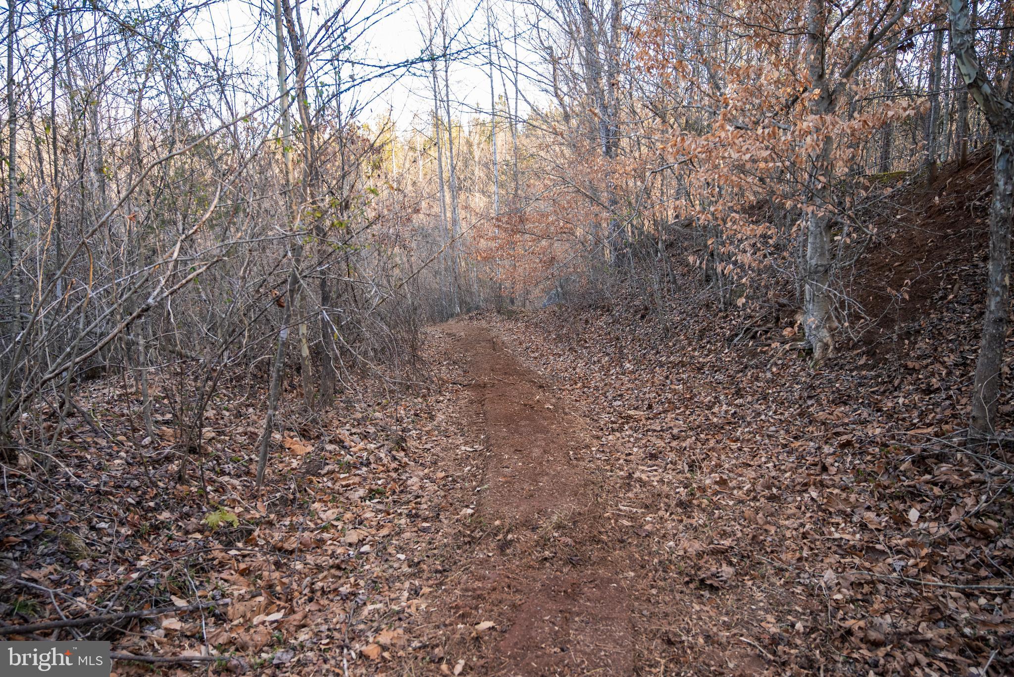 0 Grandview Lane Buckingham, VA 23921 - Photo 41 of 51 a view of a yard with a tree