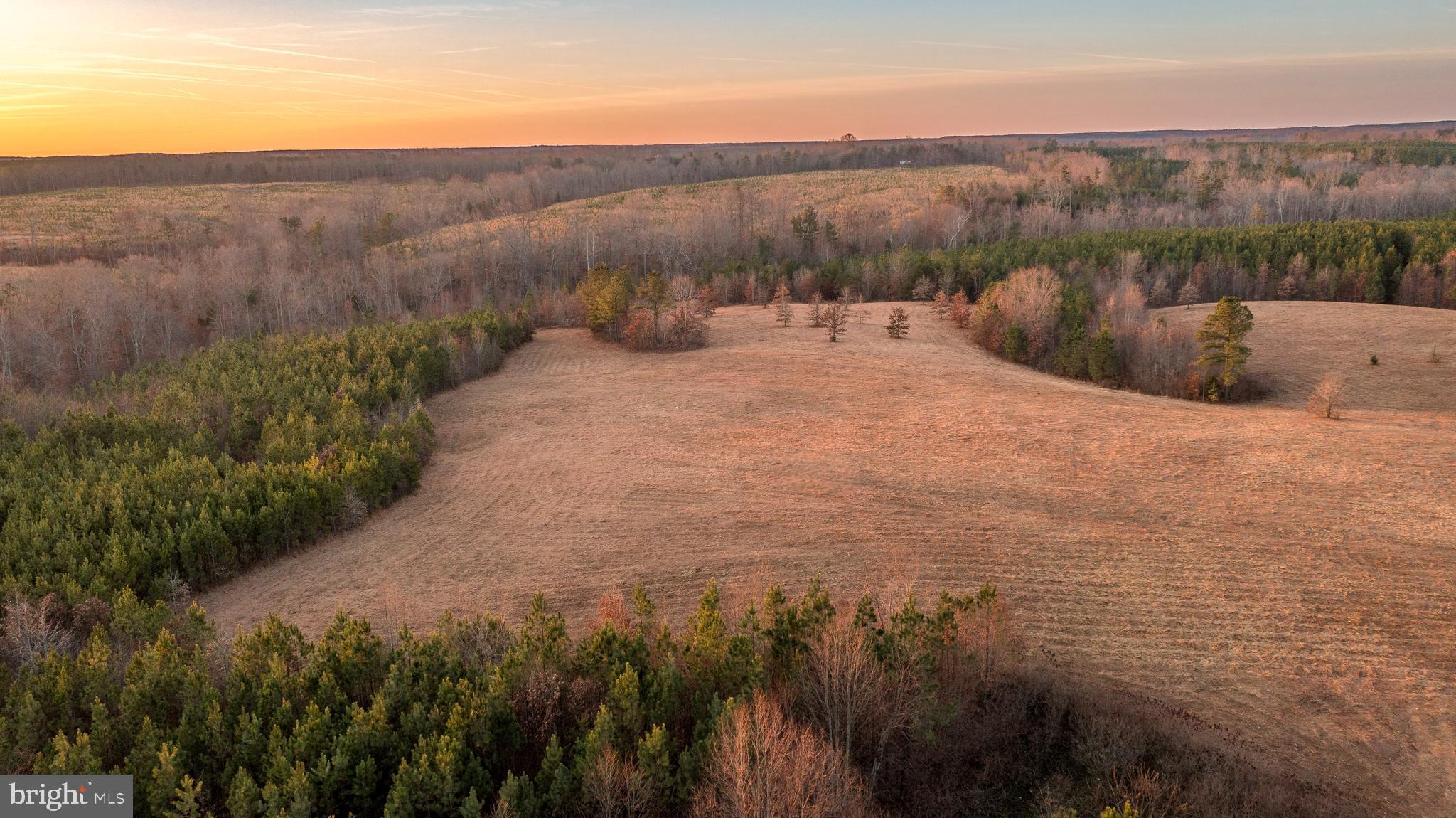 0 Grandview Lane Buckingham, VA 23921 - Photo 5 of 51 a view of outdoor space and city view