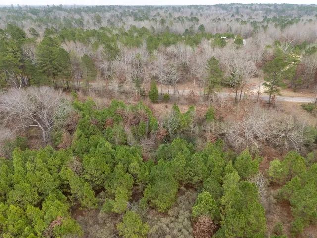 a view of a lake with lots of trees