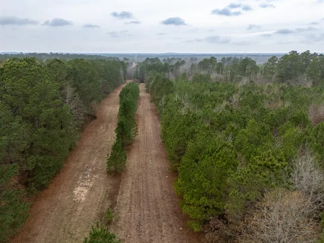 a view of a street with a yard