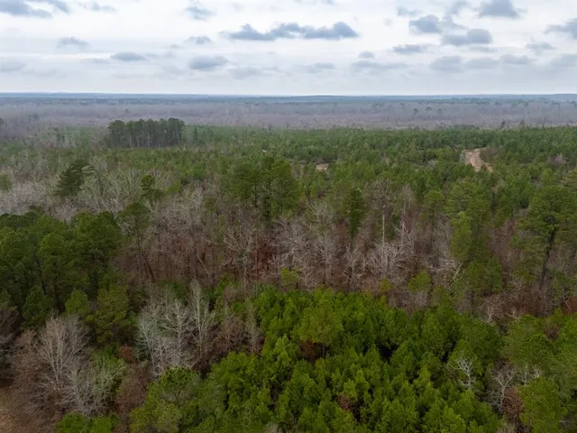 a view of a green field with lots of bushes