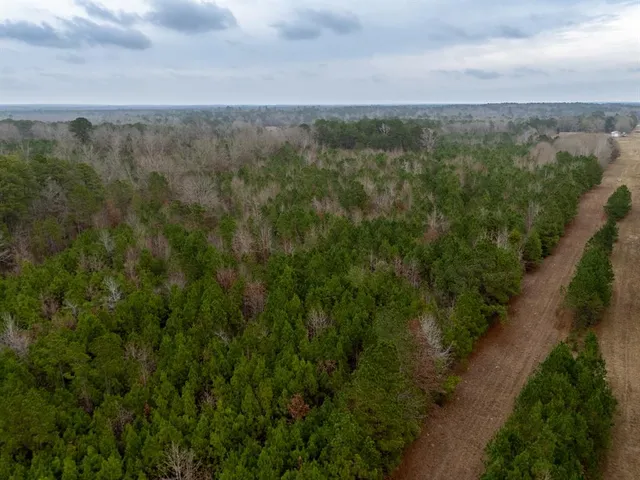 a view of a city with lush green forest