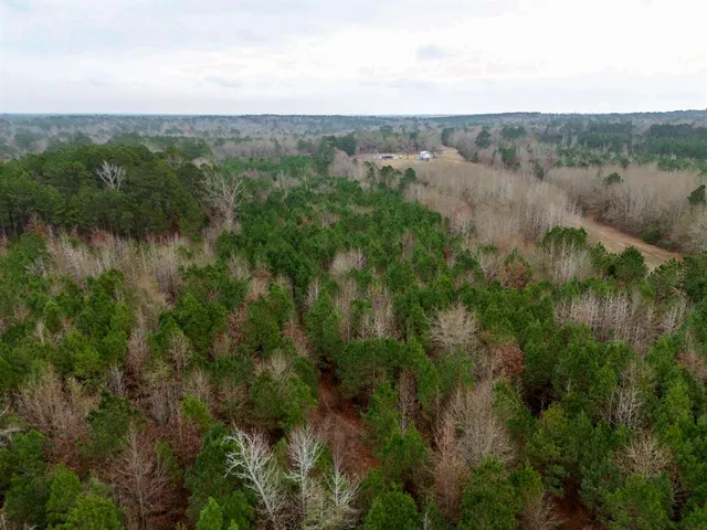 a view of a lake and green valley