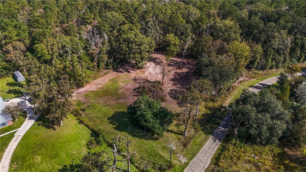 0 Bennett Road Holden, LA 70744 - Photo 3 of 13