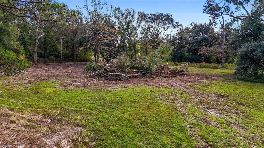0 Bennett Road Holden, LA 70744 - Photo 8 of 13