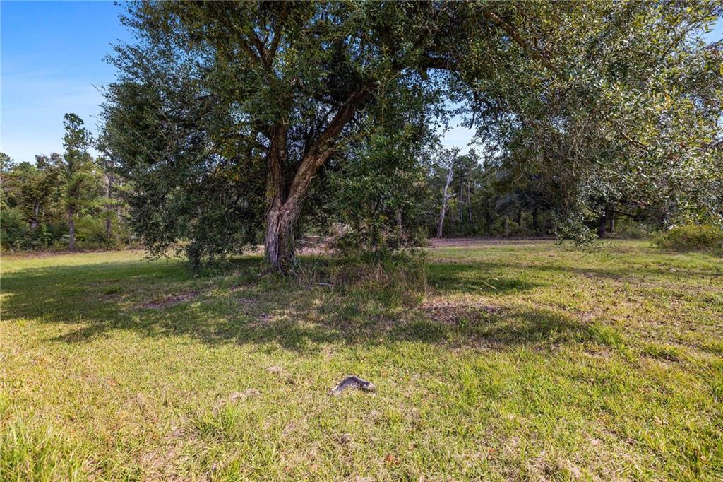 0 Bennett Road Holden, LA 70744 - Photo 10 of 13