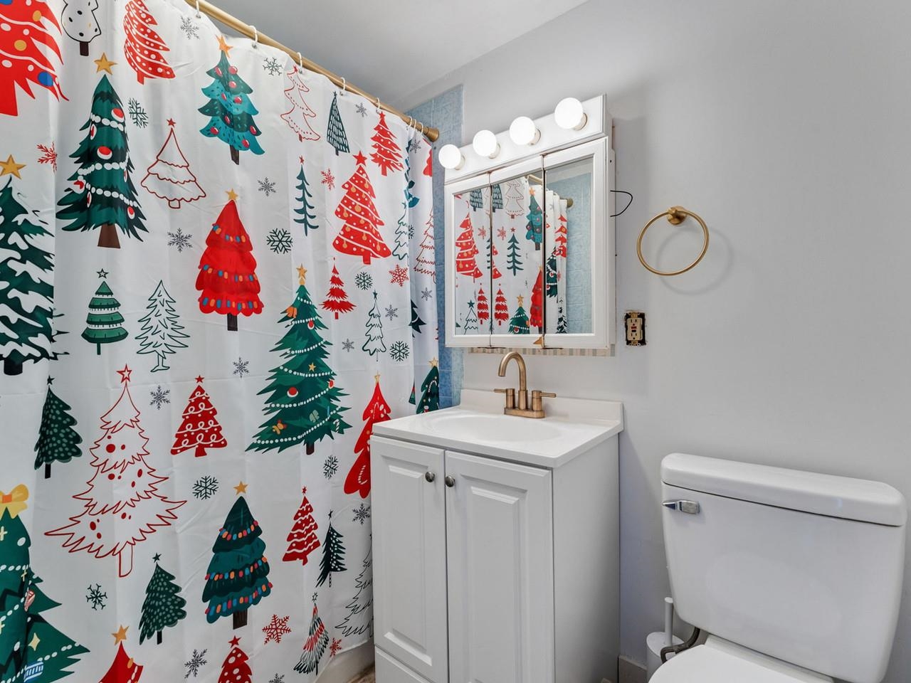 115 Main Street Vergennes, VT 05491 - Photo 39 of 52