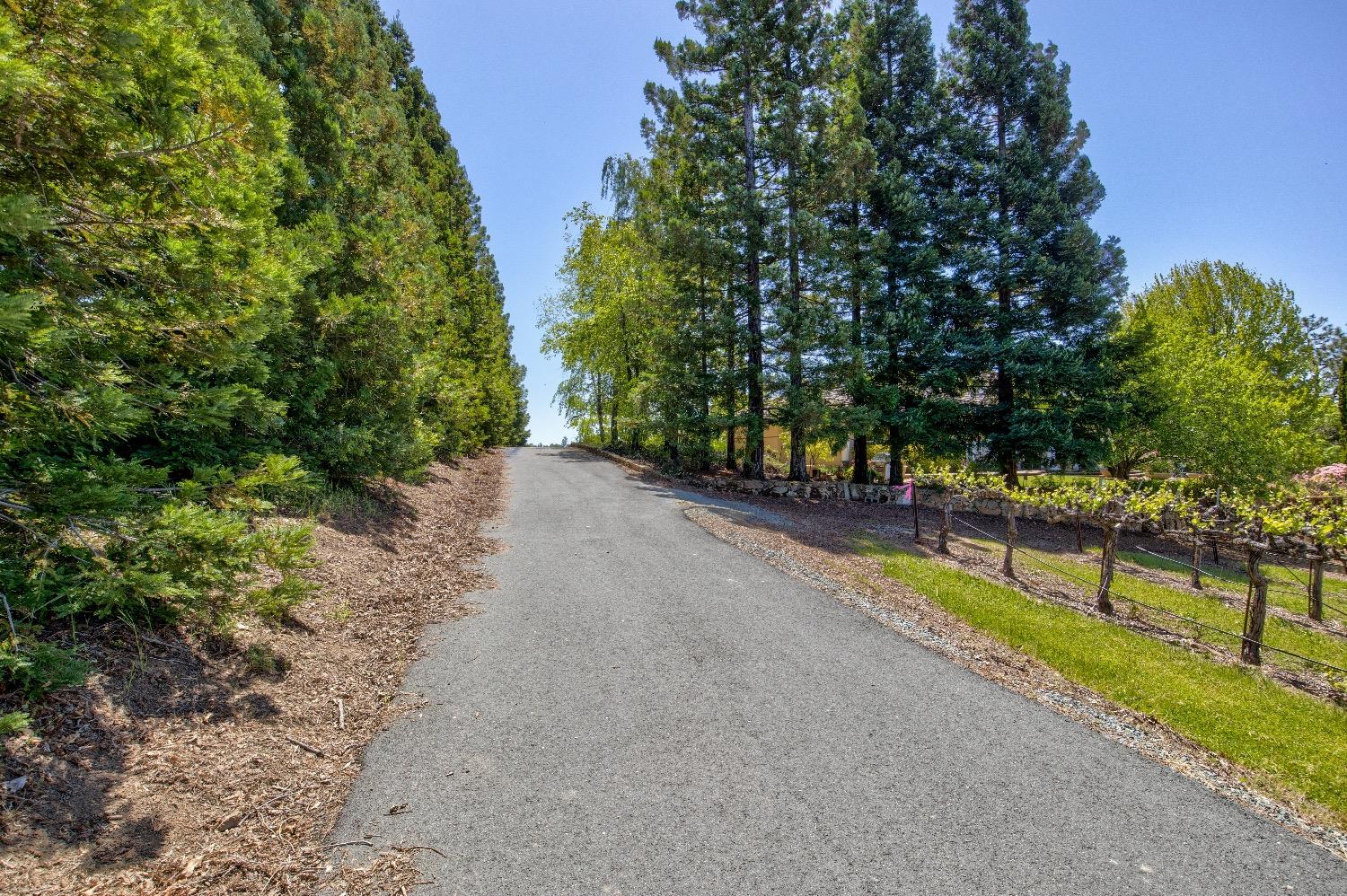 13320 Oakstream Road Plymouth, CA 95669 - Photo 60 of 98