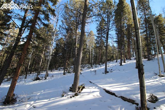 51 Mica Road Divide, CO 80814 - Photo 12 of 14