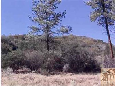 28 Pipe Creek Road Mountain Center, CA 92561 - Photo 1 of 1 Gallery Image 1