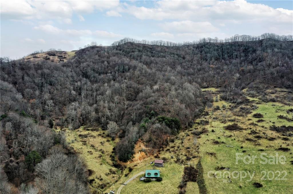 624 James Chapel Road Clyde, NC 28721 - Photo 18 of 46 a view of a bunch of trees
