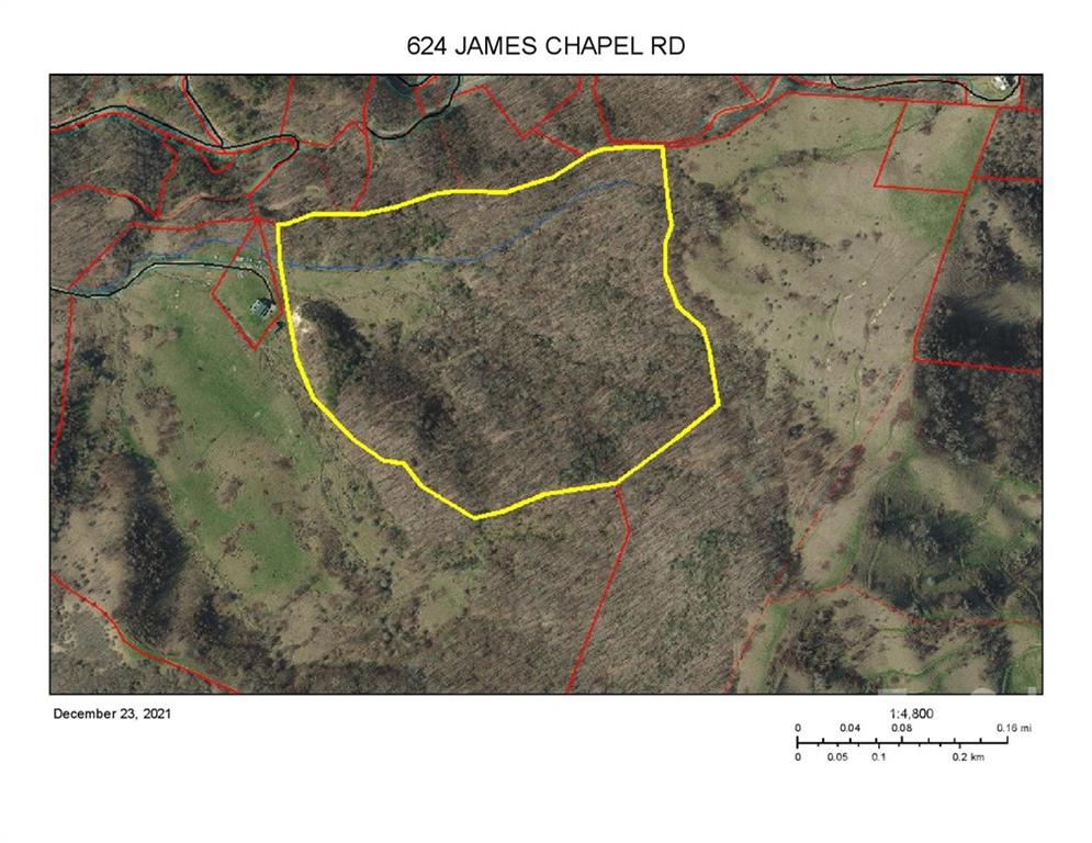 624 James Chapel Road Clyde, NC 28721 - Photo 26 of 46 a aerial view of a highlighted house