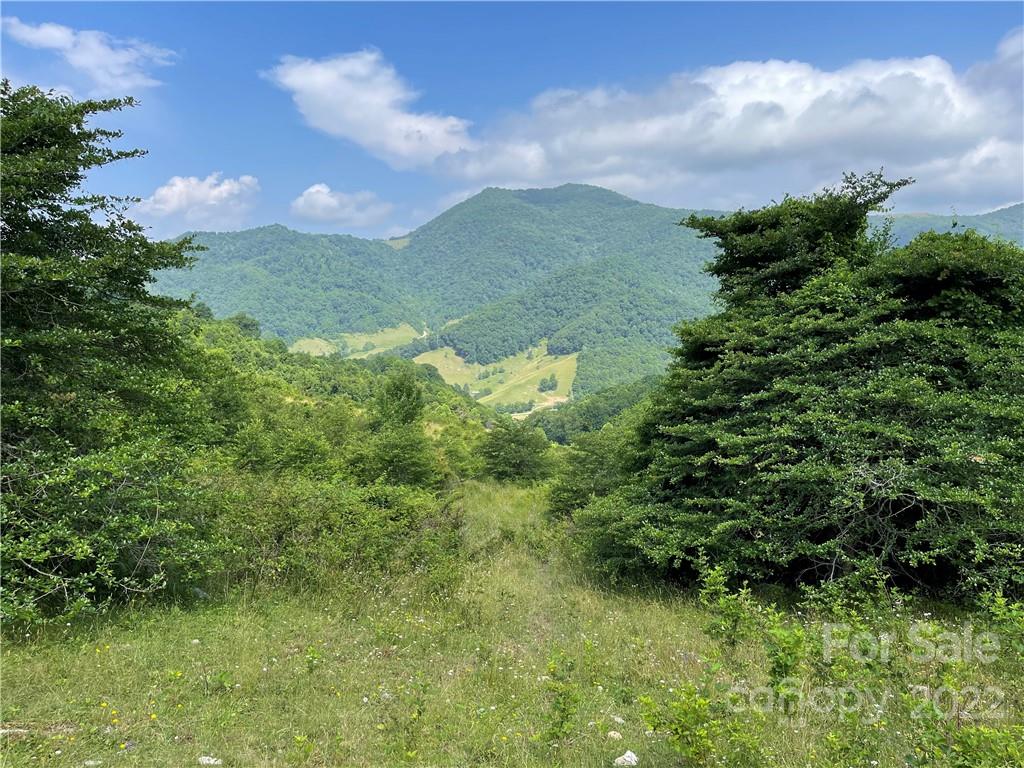 624 James Chapel Road Clyde, NC 28721 - Photo 29 of 46