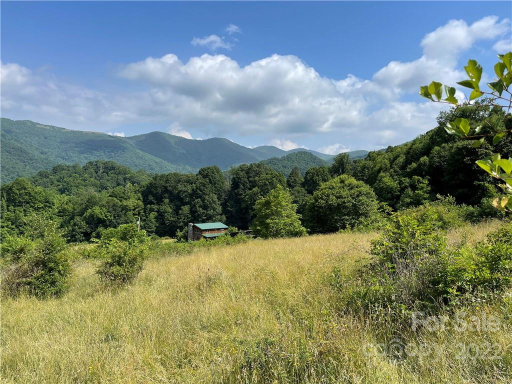 624 James Chapel Road Clyde, NC 28721 - Photo 30 of 46
