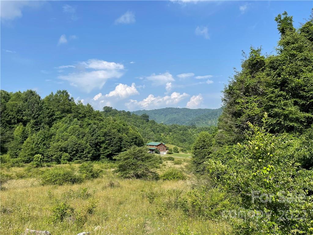 624 James Chapel Road Clyde, NC 28721 - Photo 33 of 46