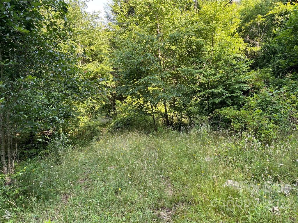 624 James Chapel Road Clyde, NC 28721 - Photo 34 of 46