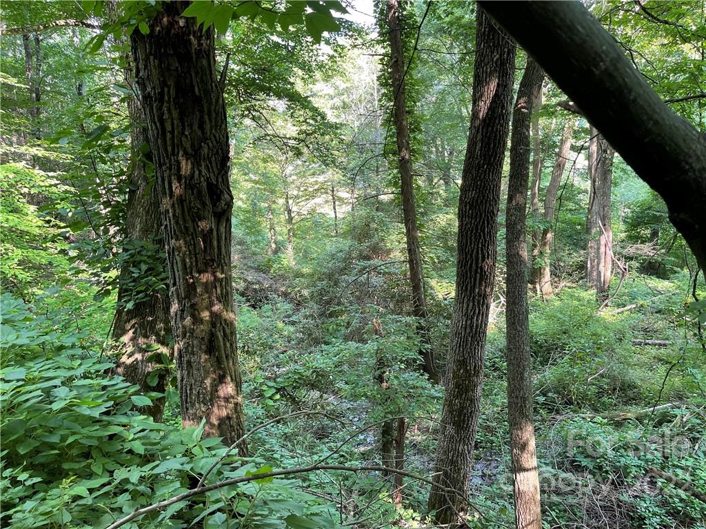 624 James Chapel Road Clyde, NC 28721 - Photo 40 of 46