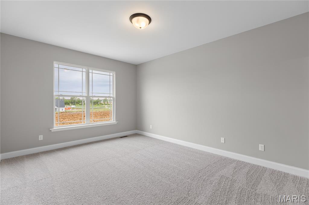 558 Wheatfield Circle Wentzville, MO 63385 - Photo 9 of 26