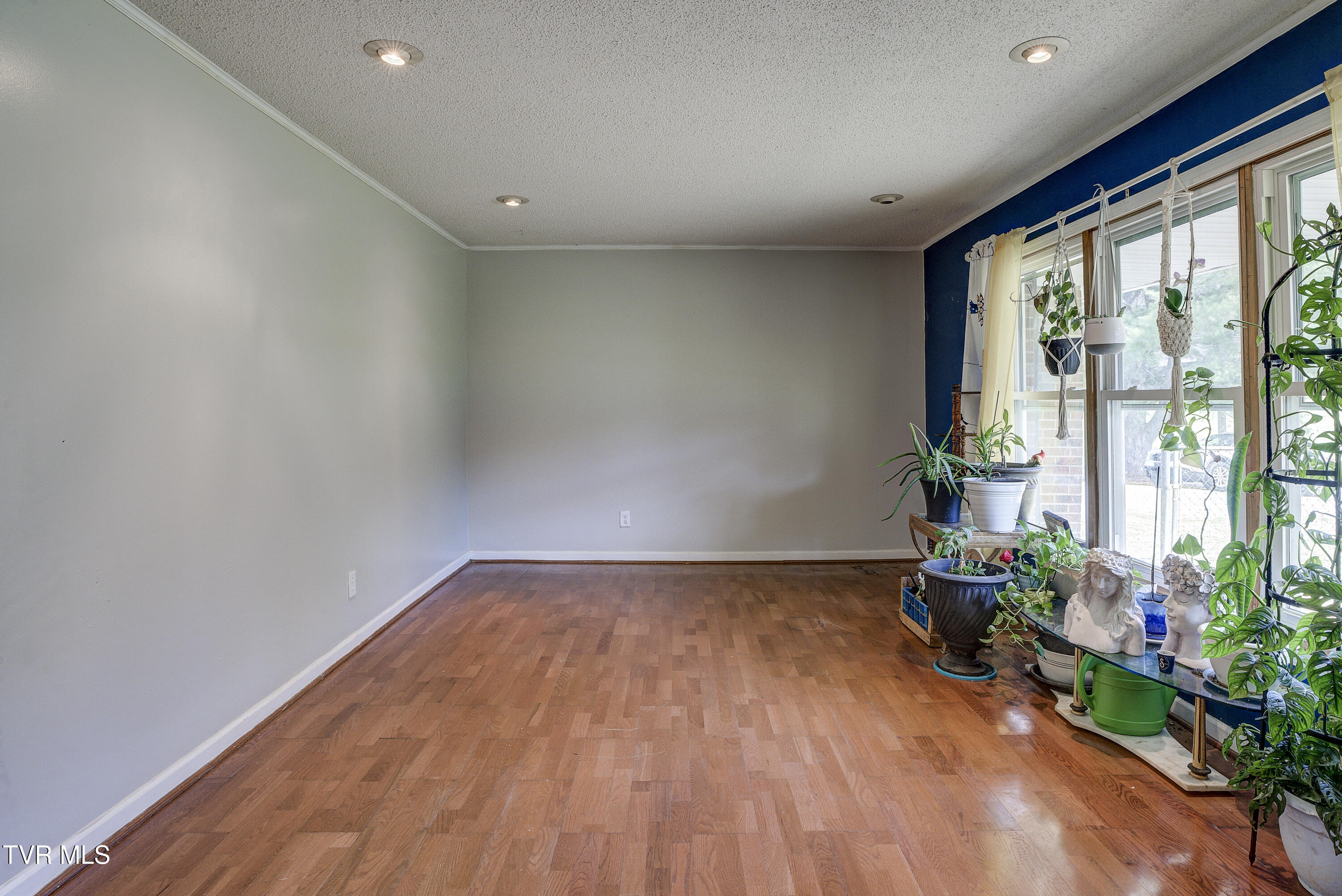 2686 Siam Road Elizabethton, TN 37643 - Photo 43 of 63 Siam-10