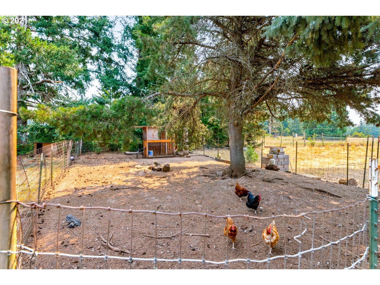 20718 Hazelnut Ridge Road Scotts Mills, OR 97375 - Photo 24 of 31 Gallery Image 24