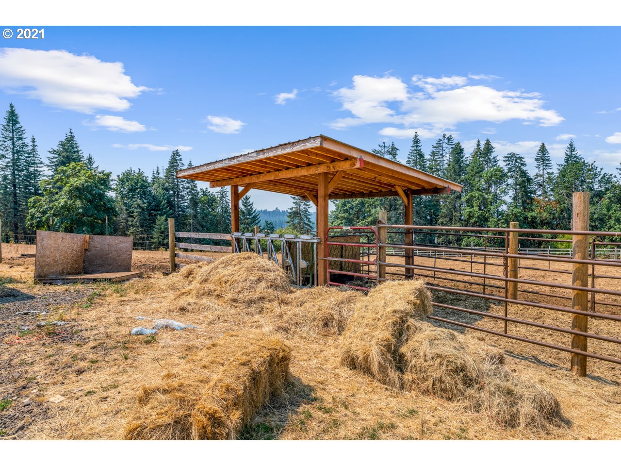 20718 Hazelnut Ridge Road Scotts Mills, OR 97375 - Photo 27 of 31 Gallery Image 27