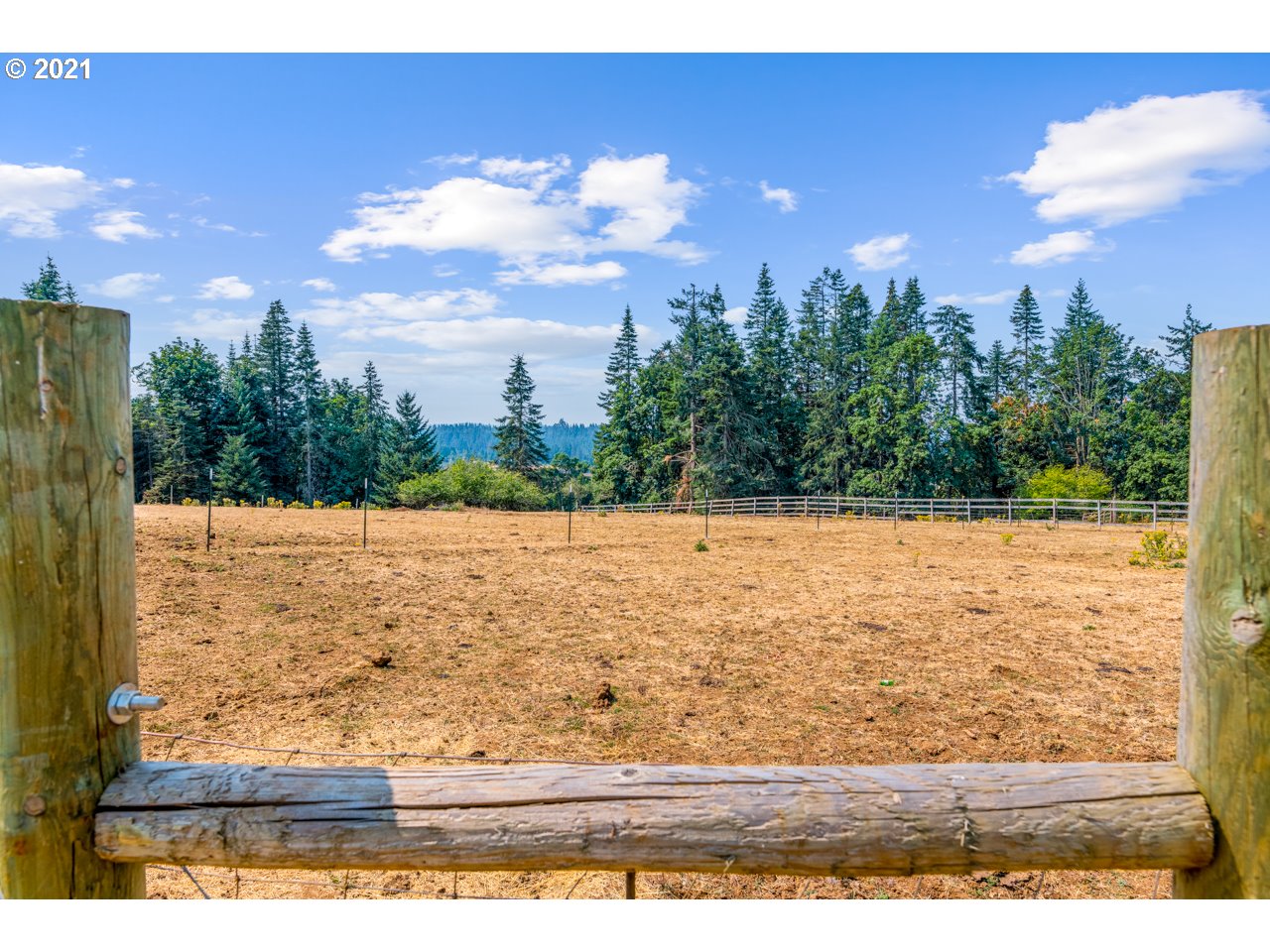 20718 Hazelnut Ridge Road Scotts Mills, OR 97375 - Photo 4 of 31 Gallery Image 4