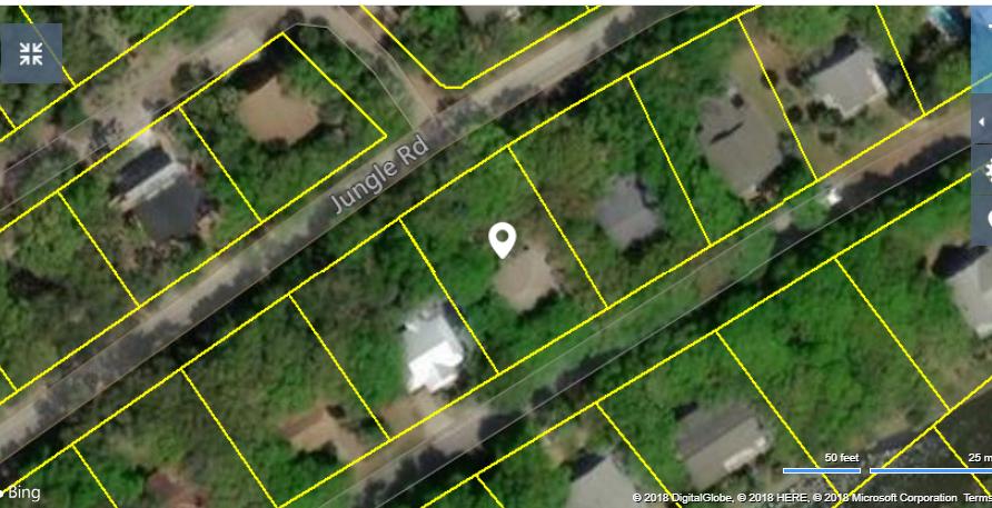 210 Jungle Road Edisto Island, SC 29438 - Photo 1 of 1 pic