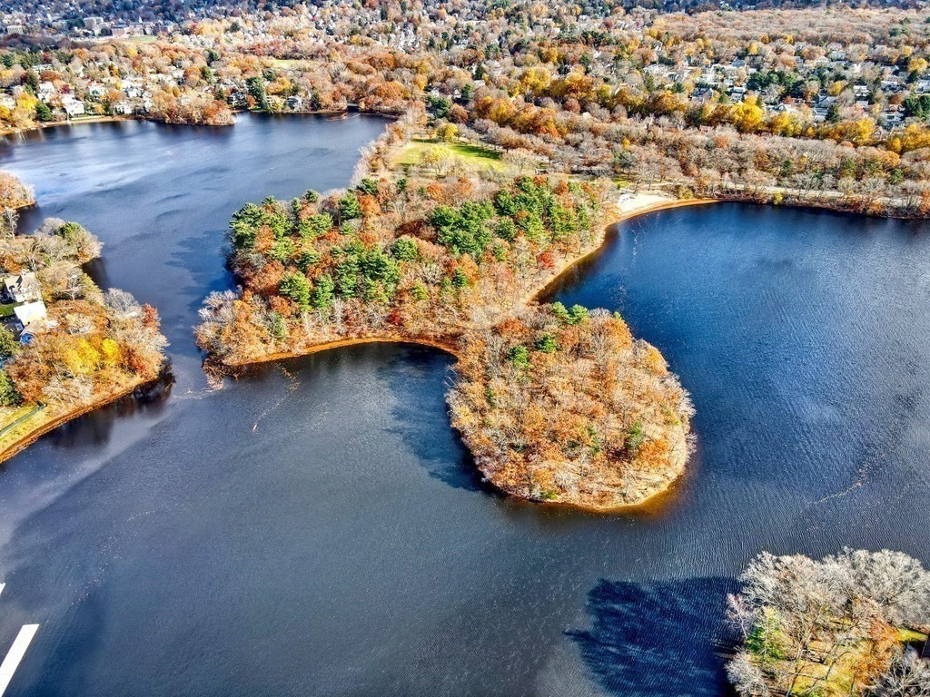 25 Myopia Road Winchester, MA 01890 - Photo 37 of 39